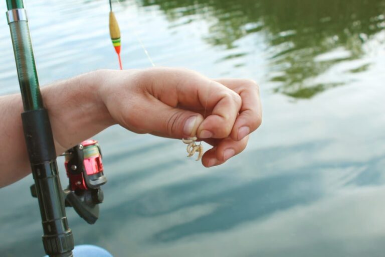 5 Types of Fishing Bait to Choose From