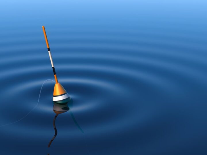 11 Different Types of Fishing Rigs You Can Use FishBaron