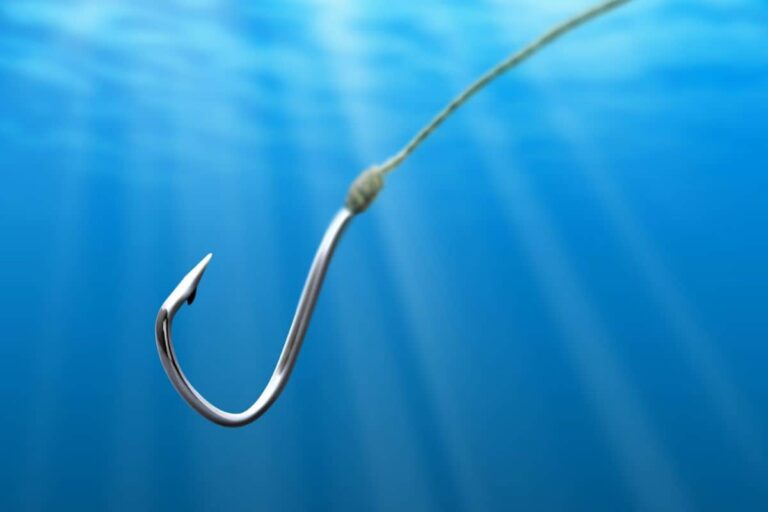 11 Different Types of Fishing Hooks