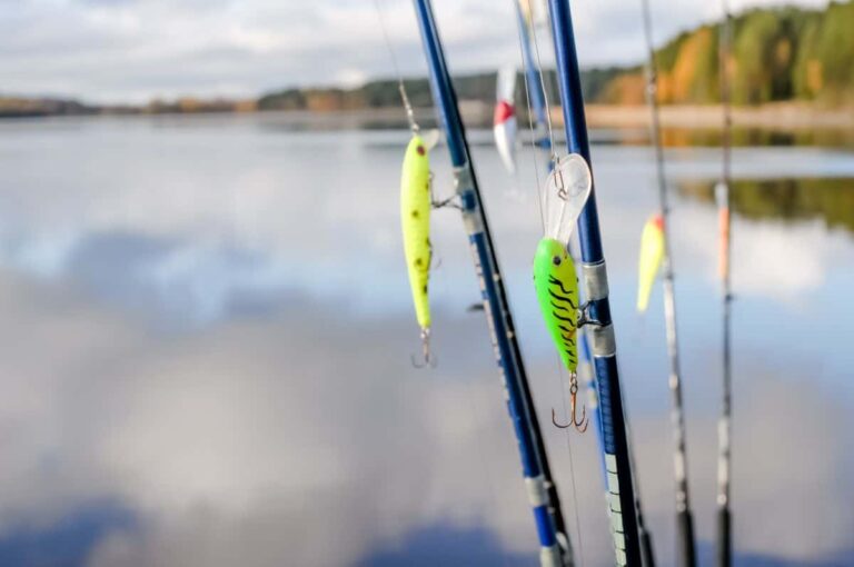 10 Different Types of Fishing Lures