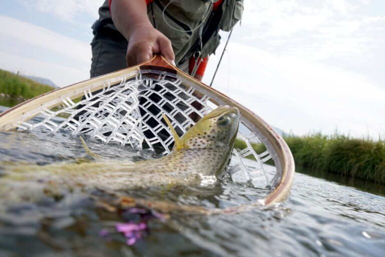 4 Different Types of Fishing Nets