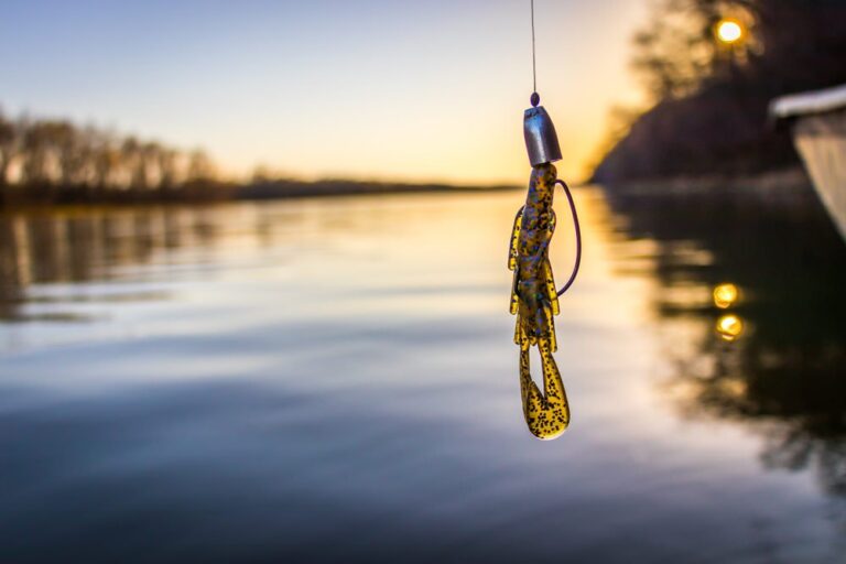 11 Different Types of Fishing Rigs You Can Use