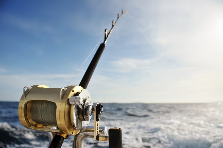 The 5 Different Types of Fishing Reels (Details on When and Where to Use Them)