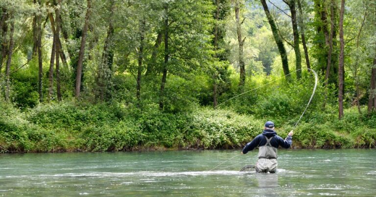 All the Different Types of Fishing Flies