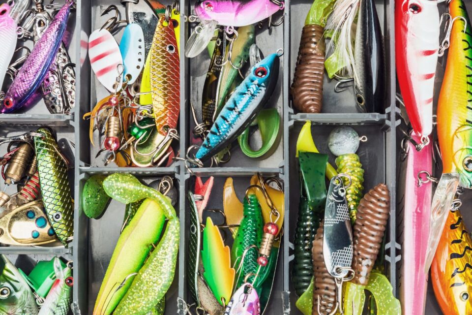 Fishing Jig vs. Lure Differences? What’s better?