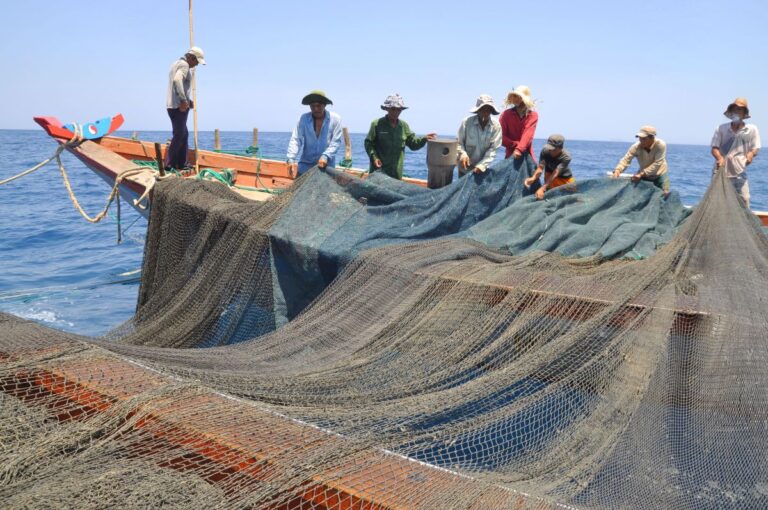 Are Fishing Nets Made of Plastic? If Not, What?