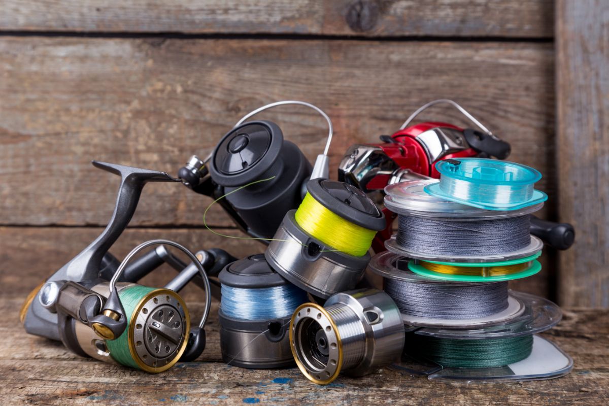 Different type of fishing line and reel.