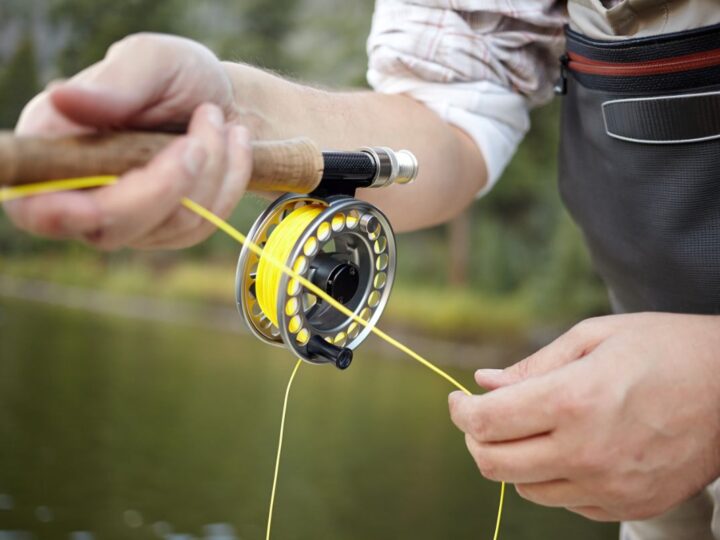 Do You Need a Sinker for Fishing? If so, When and Why?