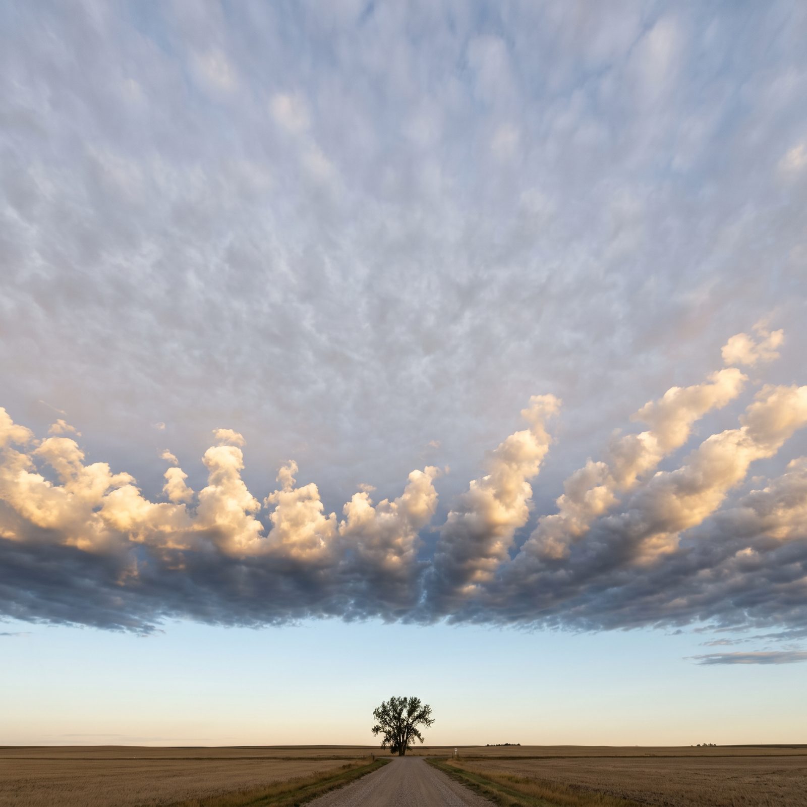 Altocumulus Castellanus Towers Reveal Instability Building Aloft