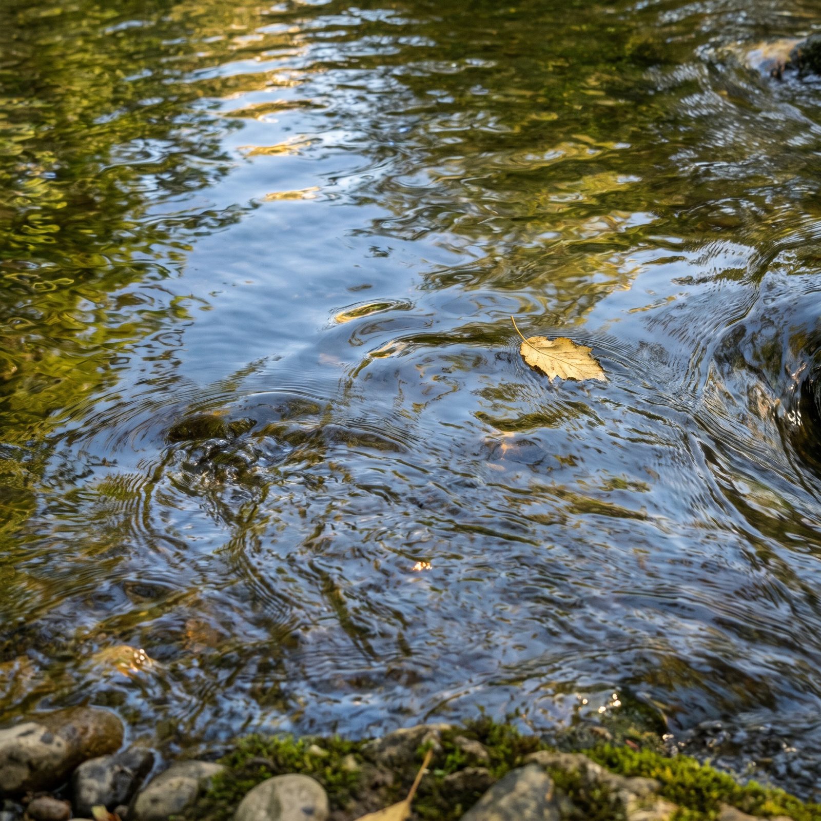 Flowing Water Never Repeats, So It Holds You Without Grabbing