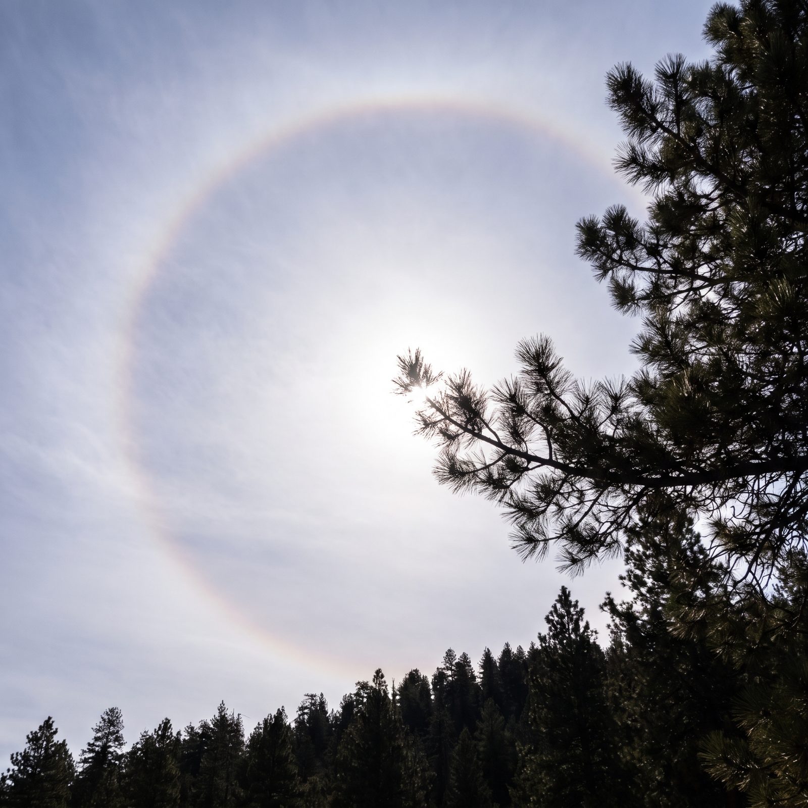 A Halo Around the Sun or Moon Reveals Ice Clouds Advancing Aloft