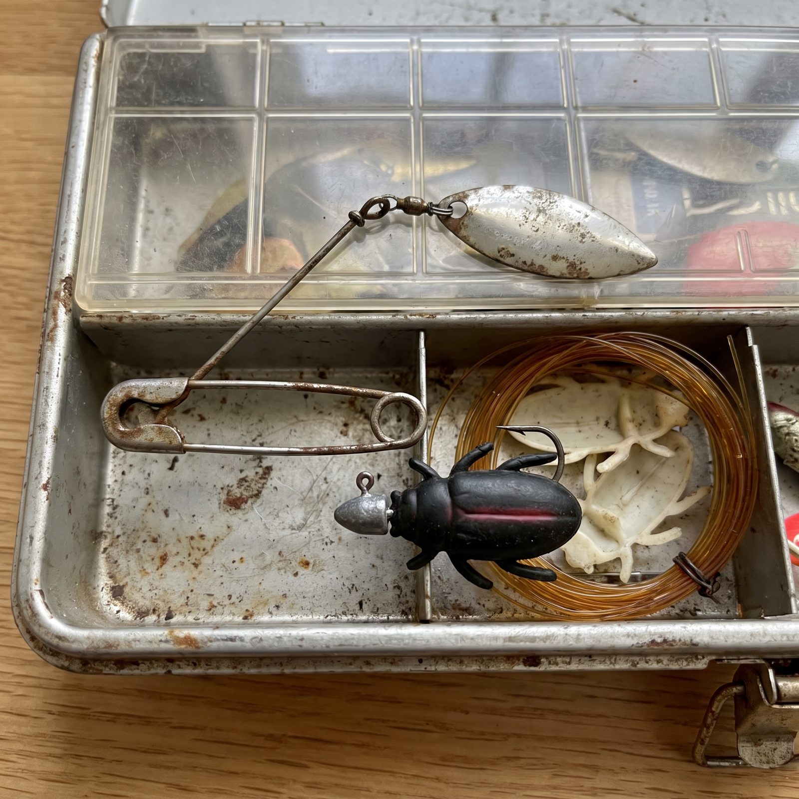 A Johnson Beetle Spin