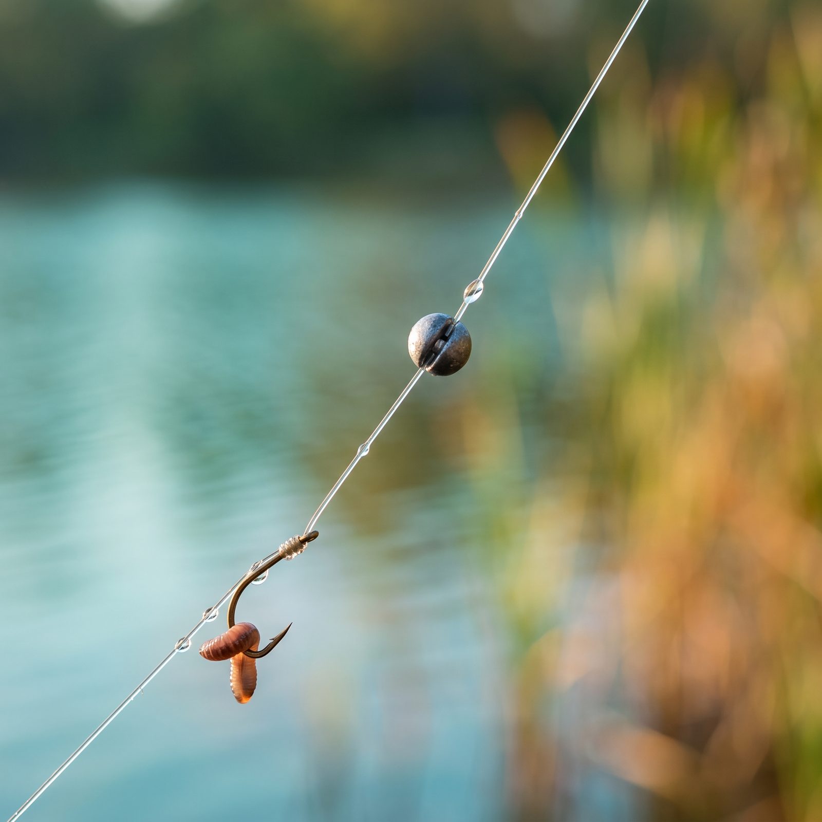 Place a Tiny Dropper Shot Near the Hook to Reveal Lift Bites