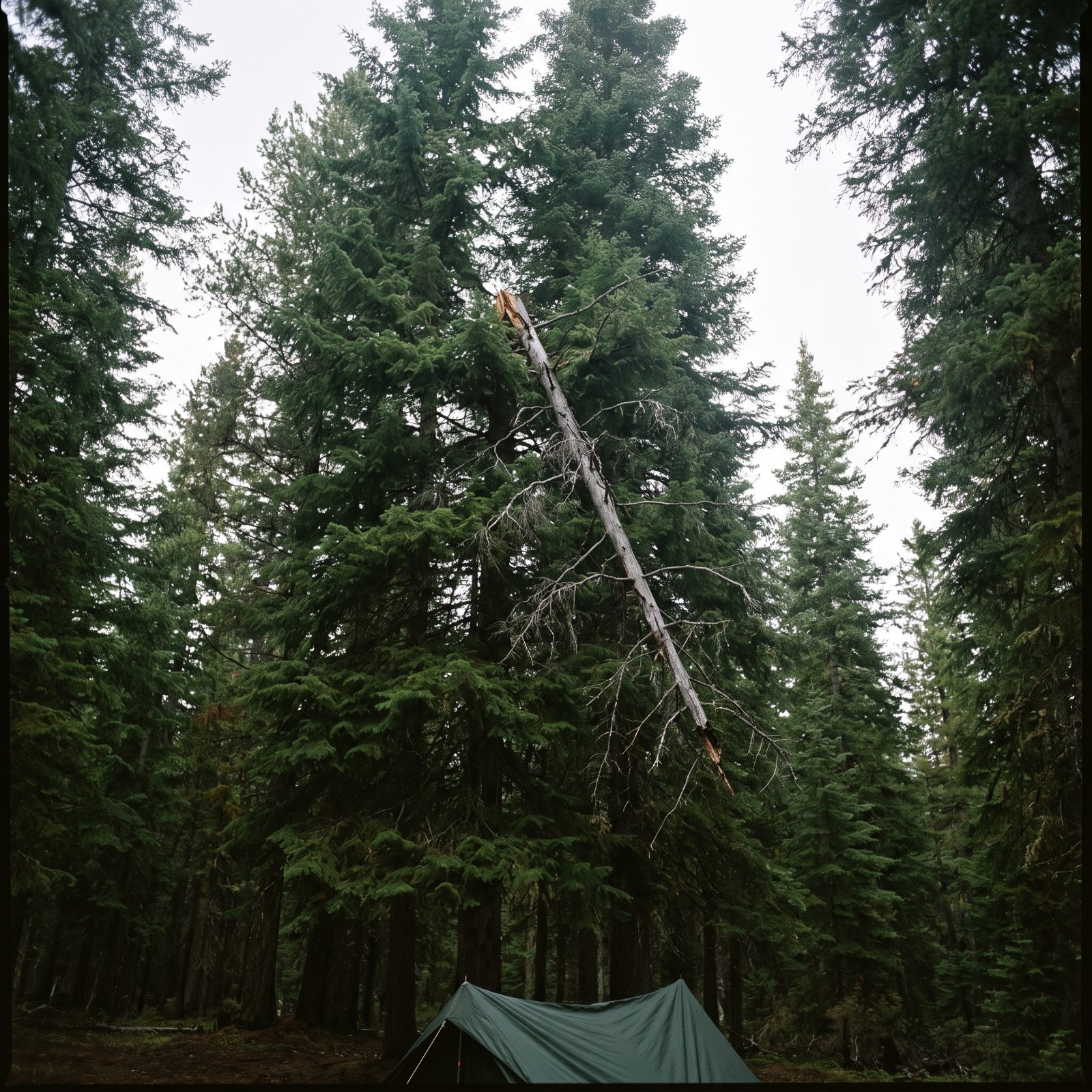 Every Tent Site Gets an Overhead Widowmaker Check