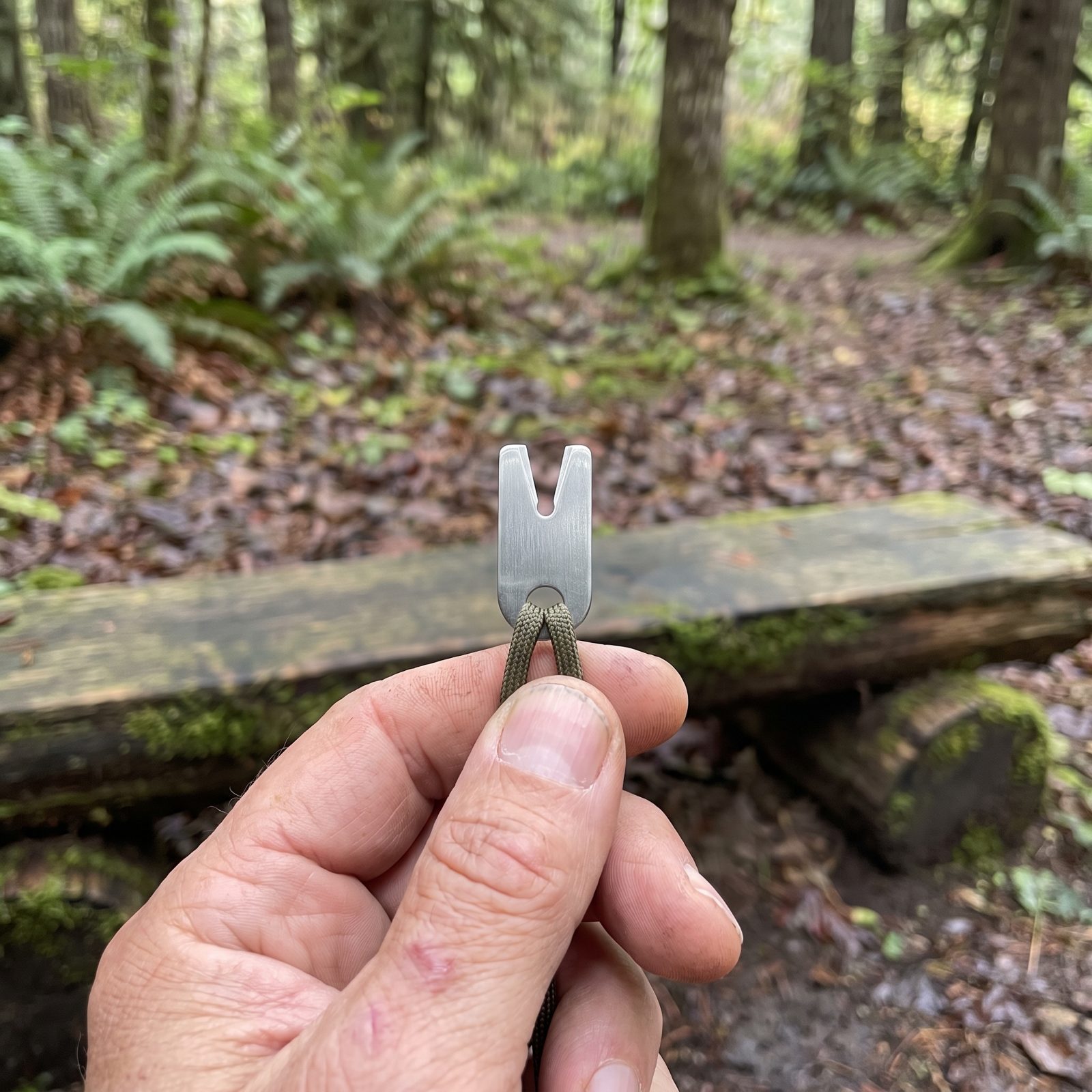 Tick-Removal Key, Pulls Embedded Ticks Without Crushing Them