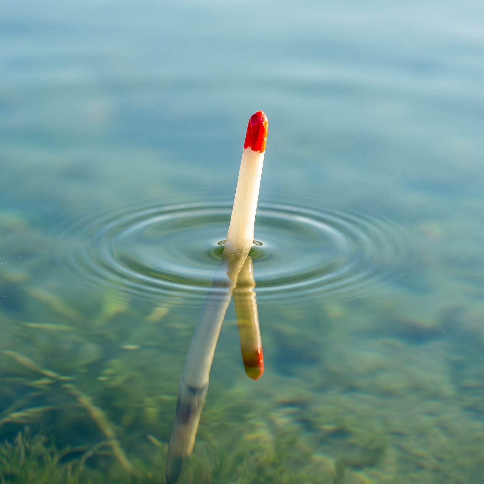 Use a Goose-Quill Float to Reveal the Faintest Bites