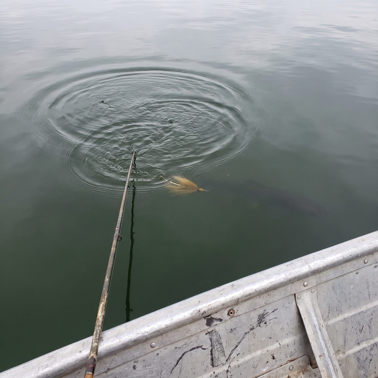 Work a Figure Eight Beside the Boat Before You Lift the Lure Out