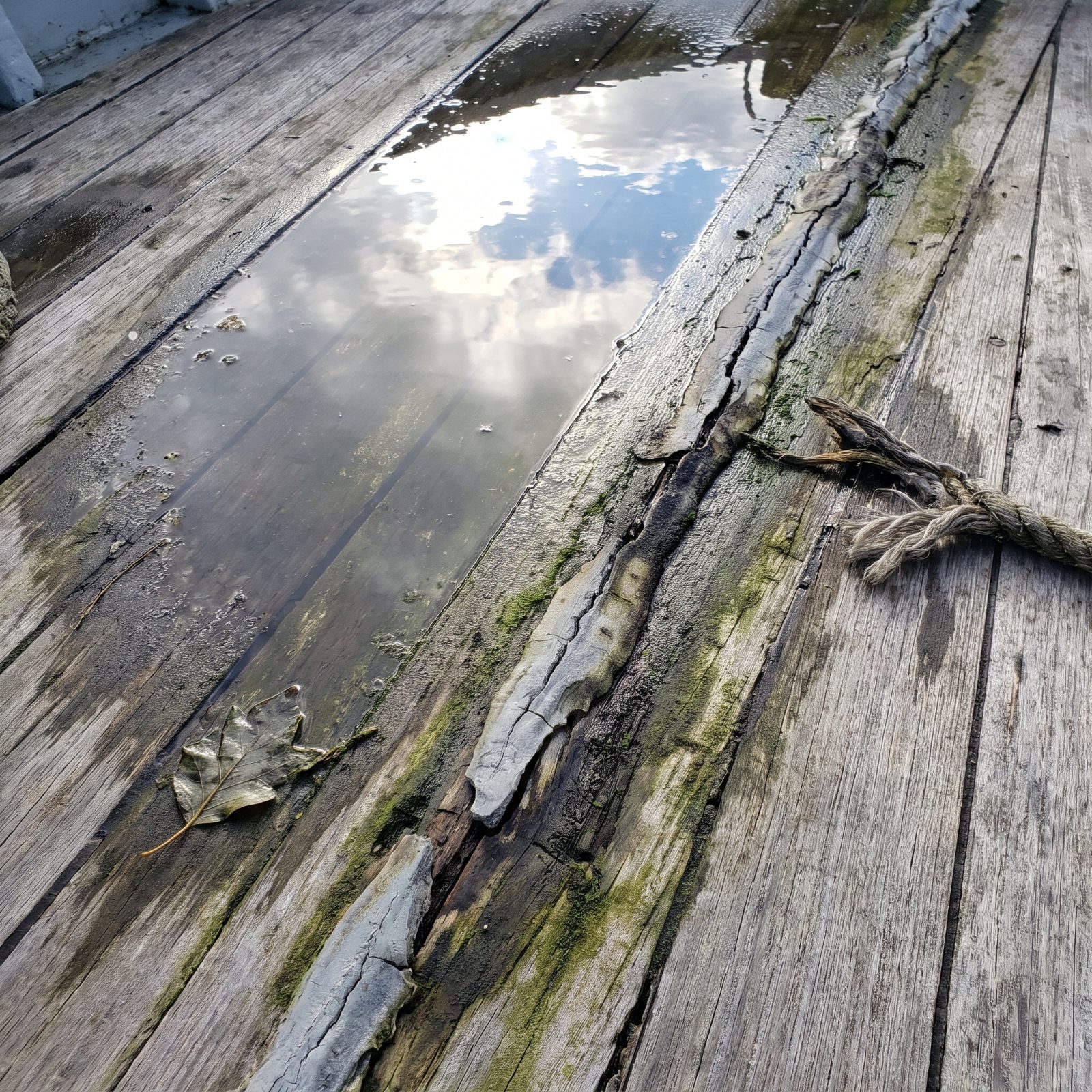 You Blame the Storm for Years of Neglected Caulk